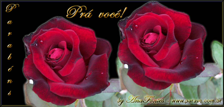Uma rosa pr&aacute; voce